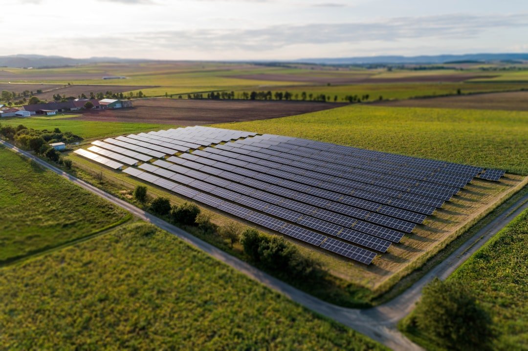 Fileiras de painéis solares instaladas sobre uma área gramada.