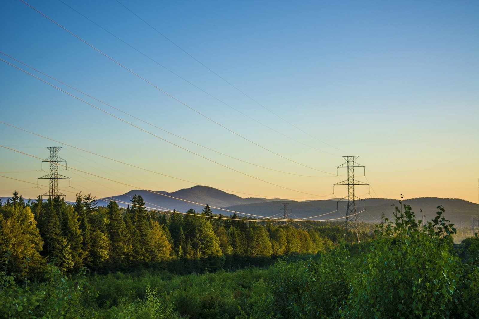 Linhas de transmissão atravessam uma área verde diante de morros.