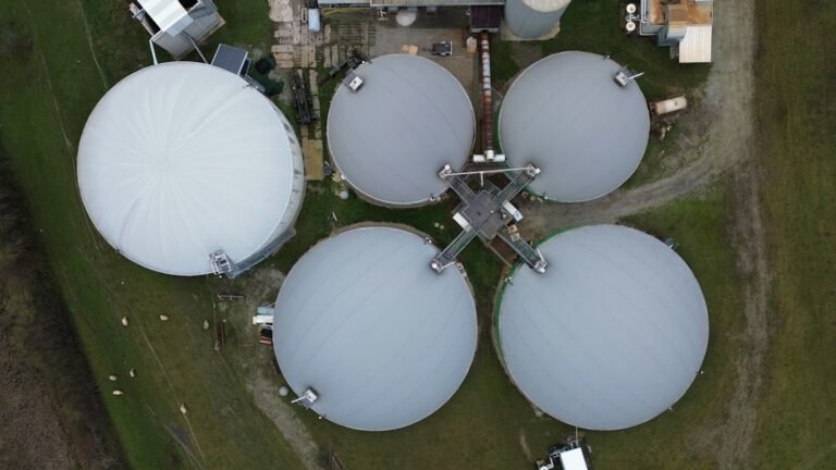 CGOB não é crédito de carbono e exige validação contra dupla contagem